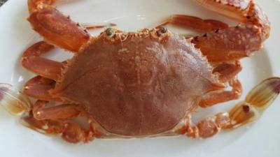 Cách phân biệt 5 loại ghẹ phổ biến nhất - Cách chọn mua ghẹ ngon