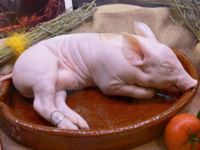 Giá bán heo sữa đông lạnh - Heo sữa đông lạnh ngon tươi tại tphcm