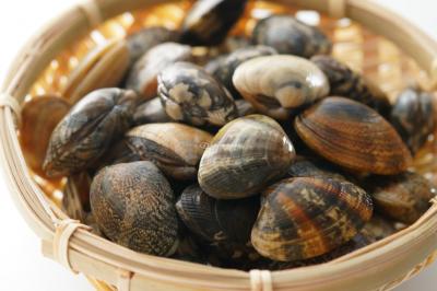 Ngon Ngọt Vị Ngao Chocolate Ubagai Nhật Bản