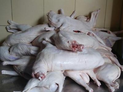 Nơi bán thịt dê tươi ngon ở tphcm