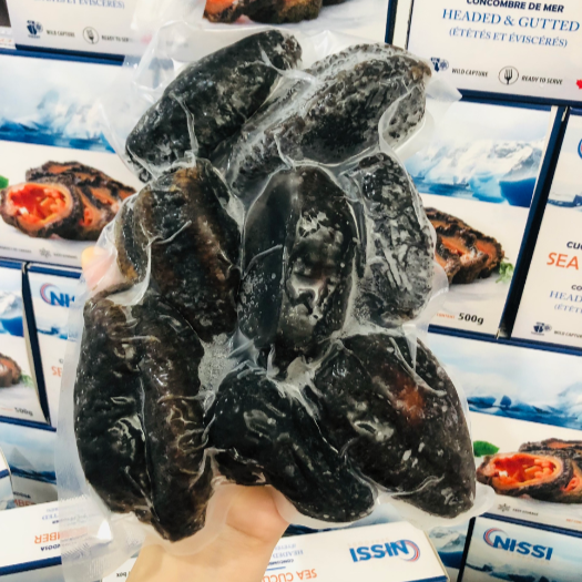 HẢI SÂM NISSI - SEA CUCUMBER NISSI CANADA 500G [ CHỈ GIAO HOẢ TỐC HCM ] |  Lazada.vn